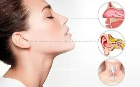 Best Ayurvedic ENT Treatment in Sharjah for Sinusitis and Tinnitus Relief